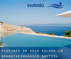 Piscinas de agua salada en Branntweinhäuser (Baviera)