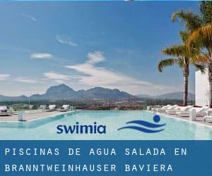 Piscinas de agua salada en Branntweinhäuser (Baviera)