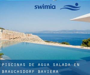 Piscinas de agua salada en Brauchsdorf (Baviera)