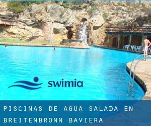 Piscinas de agua salada en Breitenbronn (Baviera)