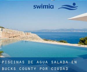 Piscinas de agua salada en Bucks County por Ciudad Principal - página 2