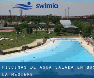 Piscinas de agua salada en Bus-la-Mésière