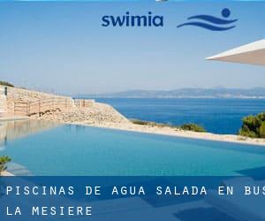 Piscinas de agua salada en Bus-la-Mésière