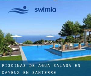 Piscinas de agua salada en Cayeux-en-Santerre