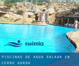 Piscinas de agua salada en Cerro Gordo