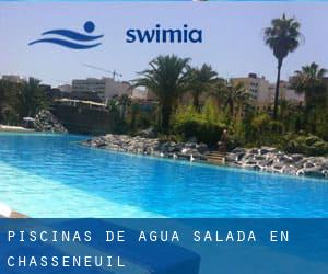 Piscinas de agua salada en Chasseneuil