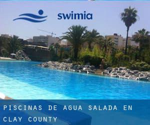 Piscinas de agua salada en Clay County