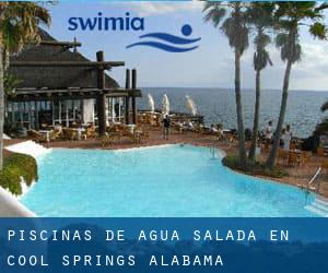 Piscinas de agua salada en Cool Springs (Alabama)