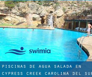 Piscinas de agua salada en Cypress Creek (Carolina del Sur)