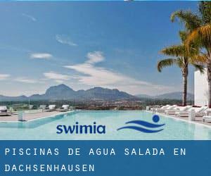 Piscinas de agua salada en Dachsenhausen