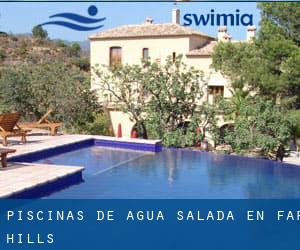 Piscinas de agua salada en Far Hills