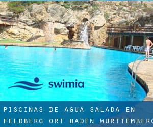 Piscinas de agua salada en Feldberg-Ort (Baden-Württemberg)