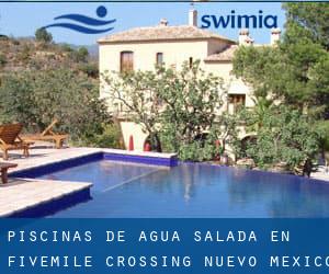 Piscinas de agua salada en Fivemile Crossing (Nuevo México)