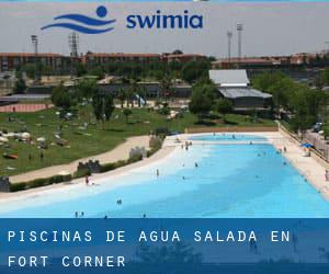 Piscinas de agua salada en Fort Corner