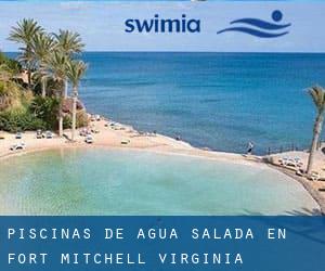 Piscinas de agua salada en Fort Mitchell (Virginia)