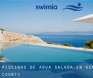 Piscinas de agua salada en Gem County