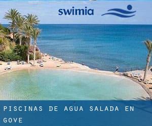 Piscinas de agua salada en Gove