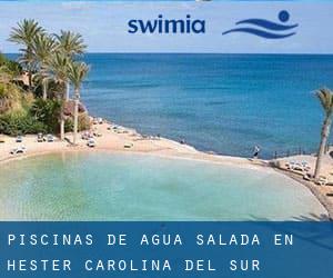 Piscinas de agua salada en Hester (Carolina del Sur)