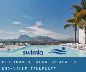 Piscinas de agua salada en Knoxville (Tennessee)