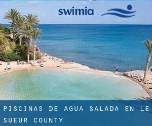 Piscinas de agua salada en Le Sueur County