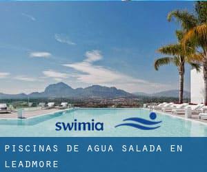 Piscinas de agua salada en Leadmore