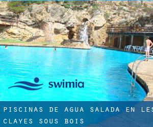 Piscinas de agua salada en Les Clayes-sous-Bois