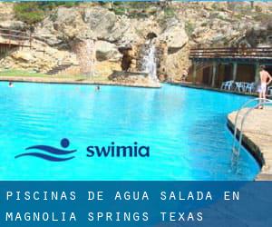 Piscinas de agua salada en Magnolia Springs (Texas)