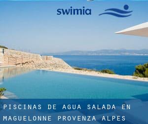 Piscinas de agua salada en Maguelonne (Provenza-Alpes-Costa Azul)