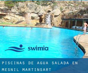 Piscinas de agua salada en Mesnil-Martinsart