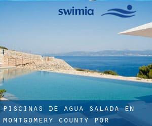 Piscinas de agua salada en Montgomery County por Población - página 2