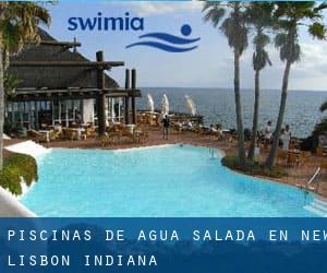 Piscinas de agua salada en New Lisbon (Indiana)