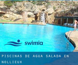 Piscinas de agua salada en Nollieux