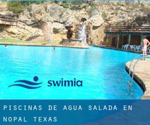 Piscinas de agua salada en Nopal (Texas)