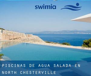 Piscinas de agua salada en North Chesterville