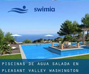 Piscinas de agua salada en Pleasant Valley (Washington)