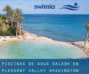 Piscinas de agua salada en Pleasant Valley (Washington)