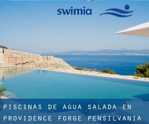 Piscinas de agua salada en Providence Forge (Pensilvania)