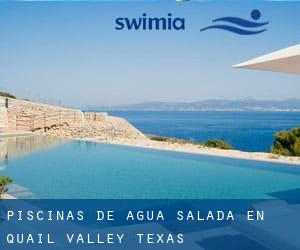 Piscinas de agua salada en Quail Valley (Texas)