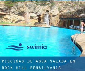 Piscinas de agua salada en Rock Hill (Pensilvania)