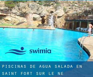 Piscinas de agua salada en Saint-Fort-sur-le-Né