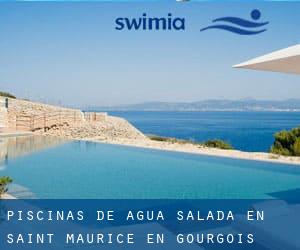 Piscinas de agua salada en Saint-Maurice-en-Gourgois