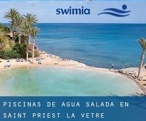 Piscinas de agua salada en Saint-Priest-la-Vêtre