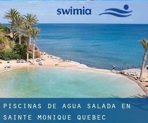 Piscinas de agua salada en Sainte-Monique (Quebec)