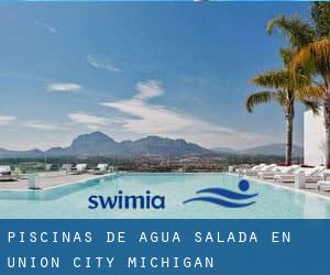 Piscinas de agua salada en Union City (Michigan)