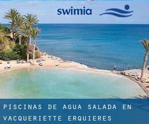 Piscinas de agua salada en Vacqueriette-Erquières