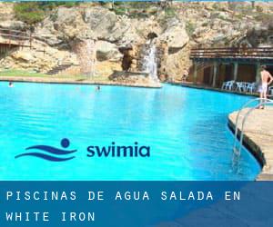 Piscinas de agua salada en White Iron