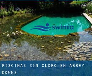 Piscinas sin cloro en Abbey Downs