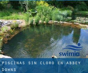 Piscinas sin cloro en Abbey Downs