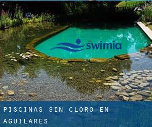 Piscinas sin cloro en Aguilares