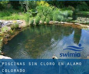 Piscinas sin cloro en Alamo (Colorado)